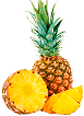 Slimital