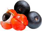Slimital