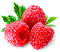Slimital